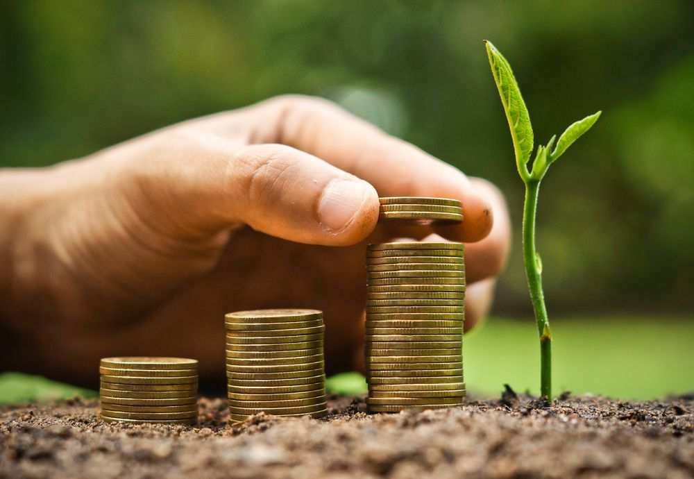 Crédito de Carbono: Investindo no Futuro Sustentável com o Grupo Visão – Equilíbrio Ambiental